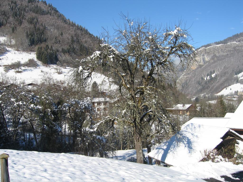 Appartement Borne Saint-Jean-dʼAulps Quarto foto